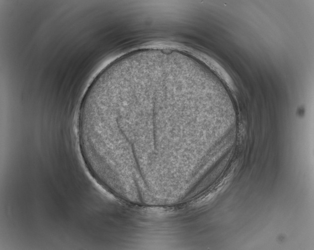 X0000116630855201001081251