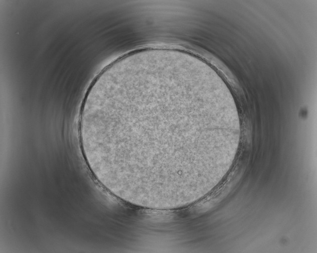 X0000116630856201001081251