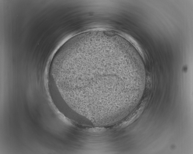 X0000116630859201001081251