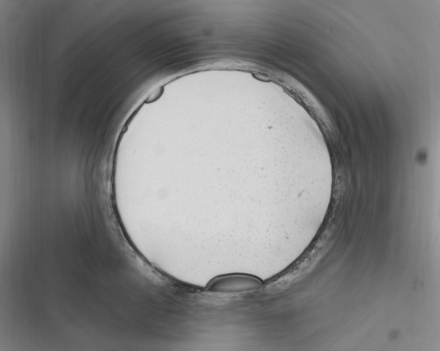 X0000116630860201001081251