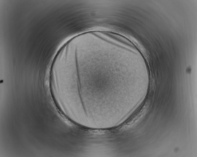 X0000116630862201001081251