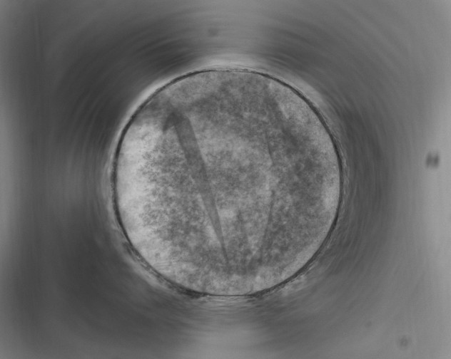 X0000116630864201001081251