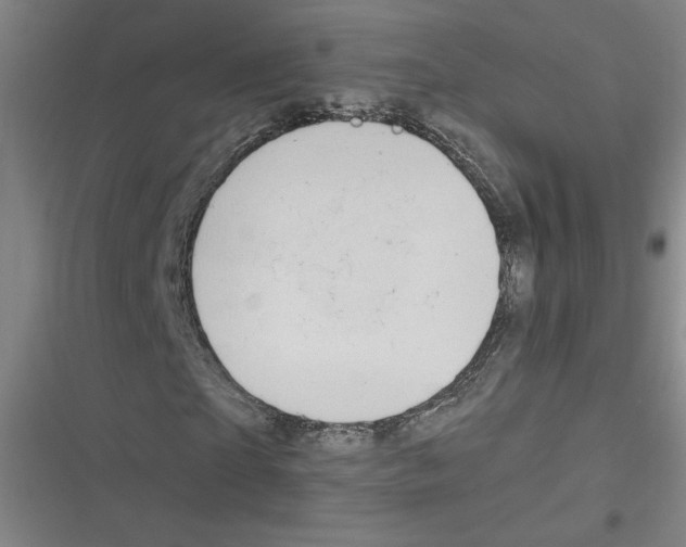 X0000116630865201001081250