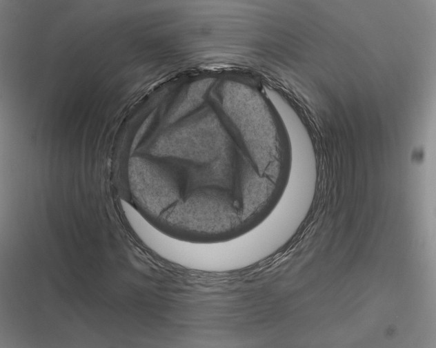 X0000116630868201001081250