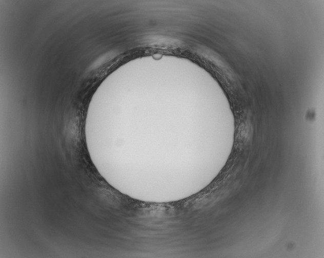 X0000116630869201001081250