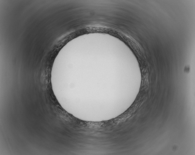 X0000116630870201001081250