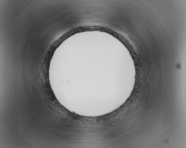 X0000116630871201001081250