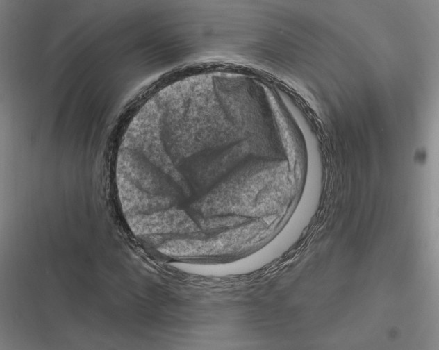 X0000116630872201001081250