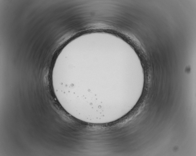 X0000116630873201001081250