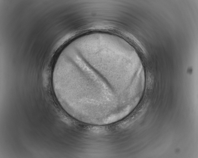 X0000116630874201001081250