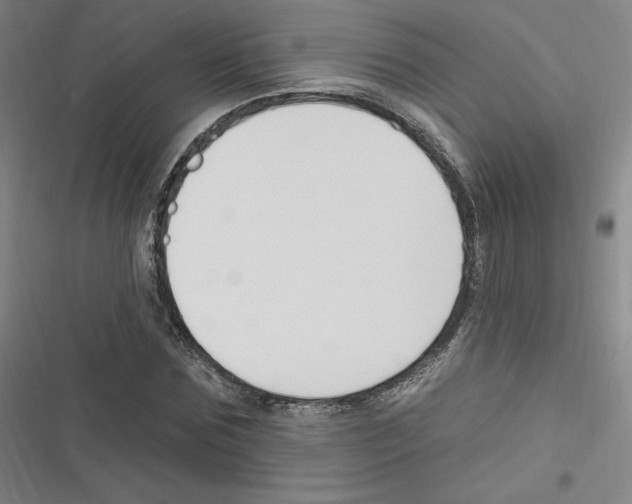 X0000116630875201001081250