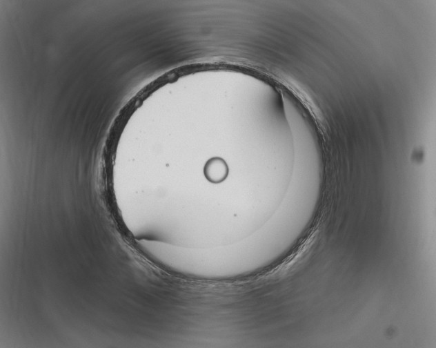 X0000116630876201001081250
