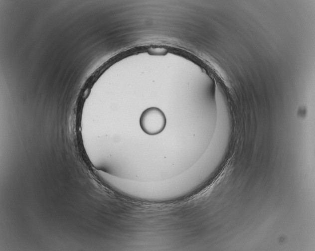 X0000116630877201001081250