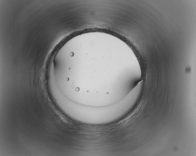 X0000116630878201001081250