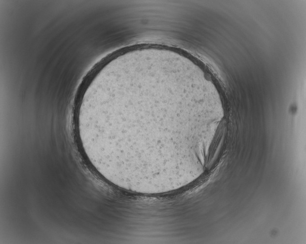 X0000116630880201001081250