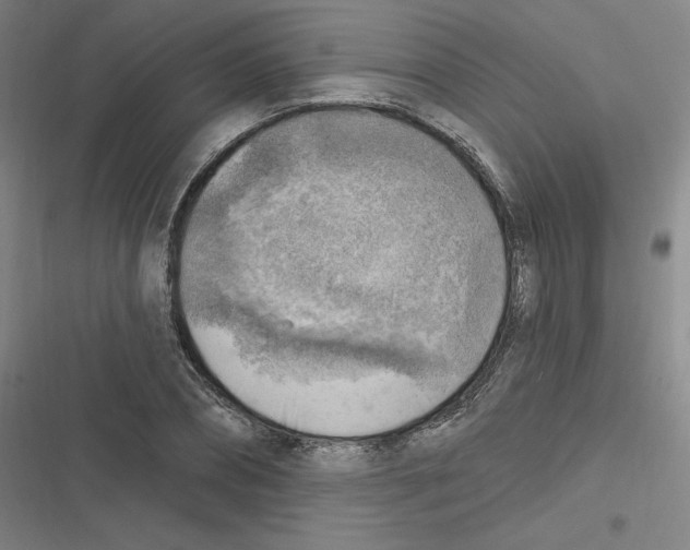 X0000116630882201001081250