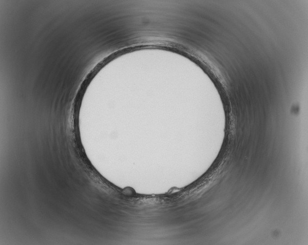 X0000116630883201001081250