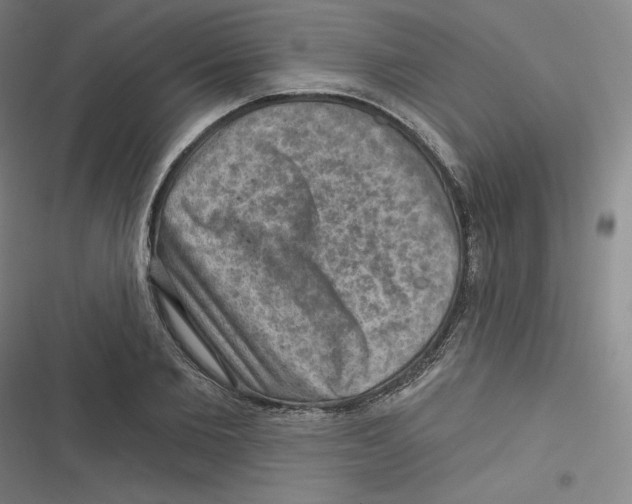 X0000116630885201001081250