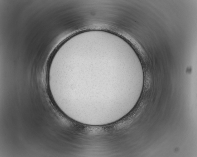 X0000116630886201001081250
