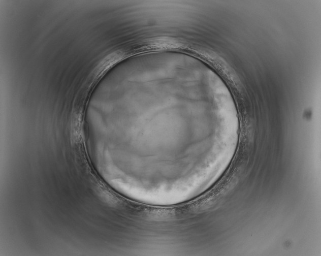 X0000116630889201001081250