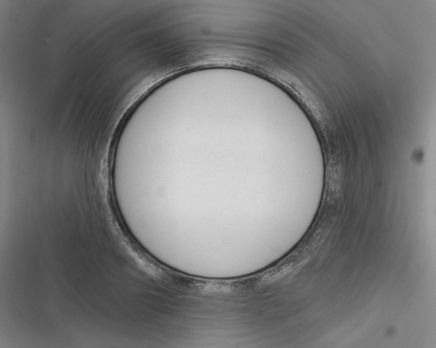 X0000116630890201001081250