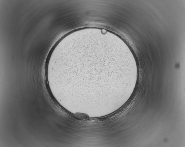 X0000116630891201001081250