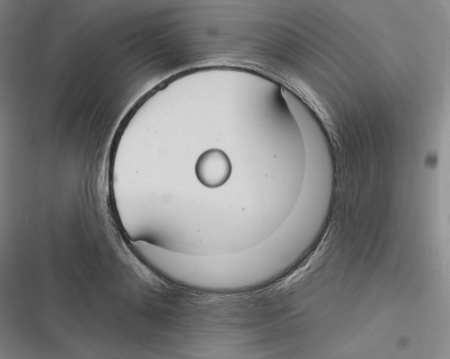 X0000116630892201001081250