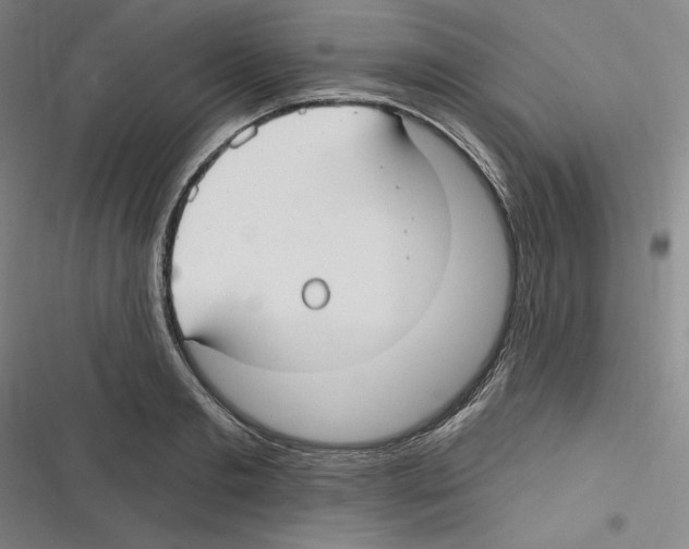 X0000116630893201001081250