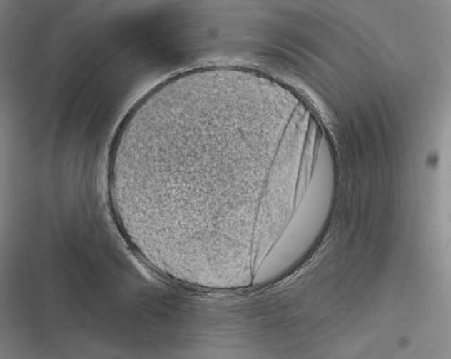 X0000116630894201001081250