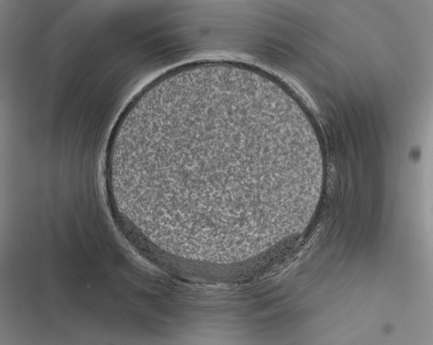 X0000116630895201001081250