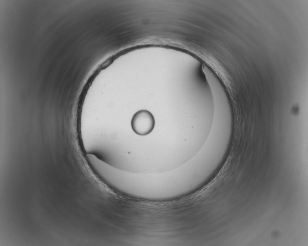 X0000116630896201001081250