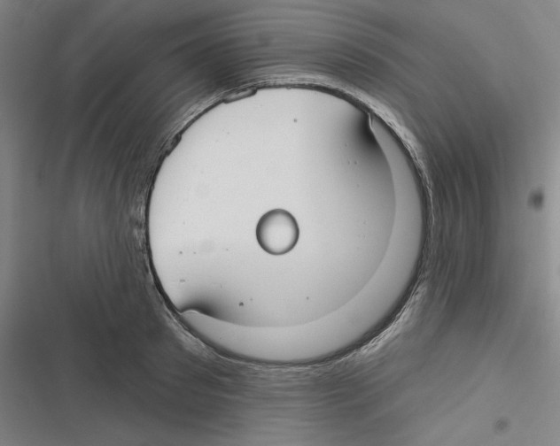 X0000116630897201001081250