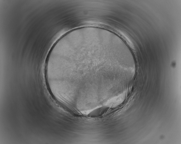 X0000116630899201001081250
