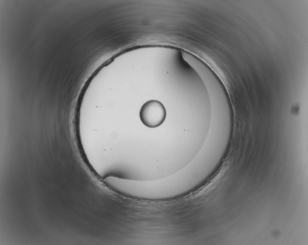 X0000116630901201001081250