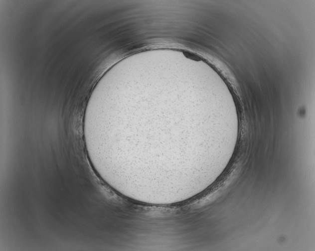 X0000116630905201001081250