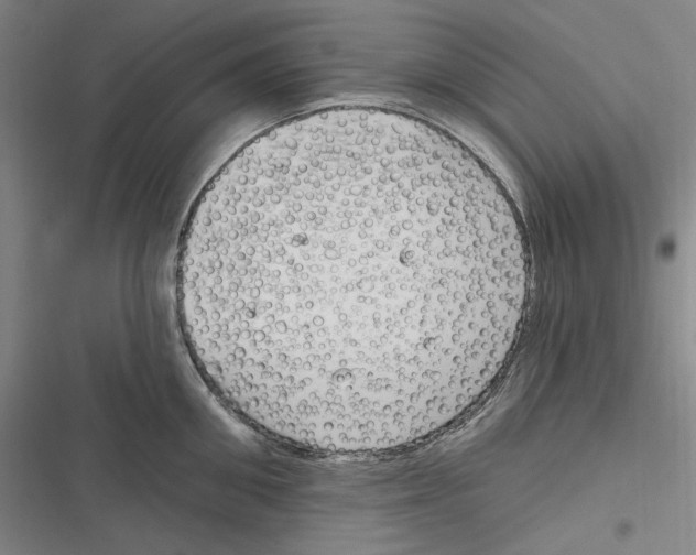 X0000116630906201001081250
