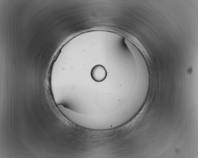 X0000116630908201001081250