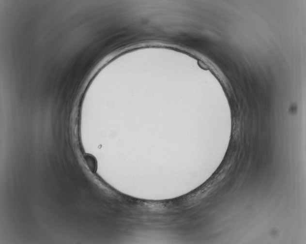 X0000116630911201001081250