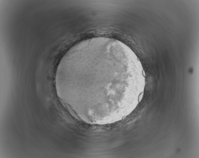 X0000116630913201001081249