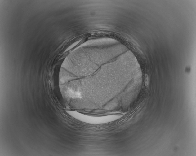X0000116630915201001081249