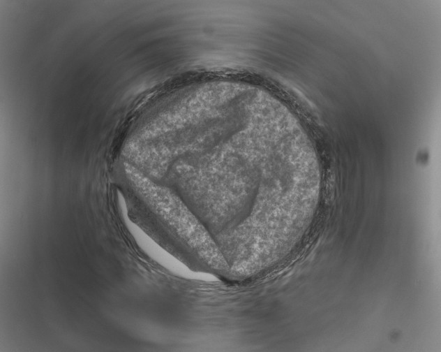 X0000116630917201001081249