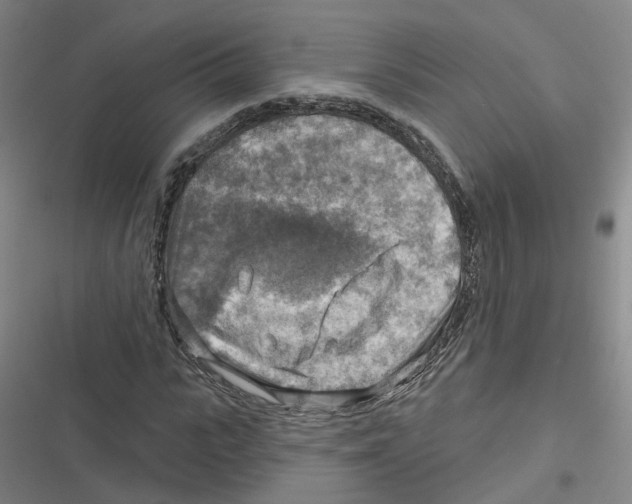 X0000116630919201001081249