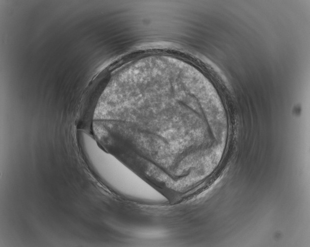 X0000116630921201001081249