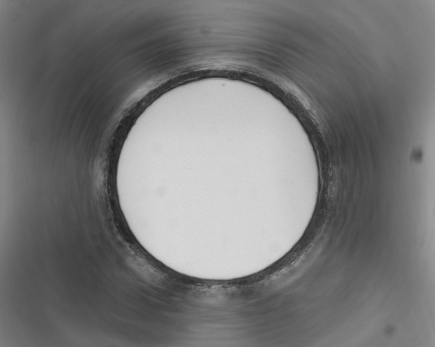 X0000116630922201001081249