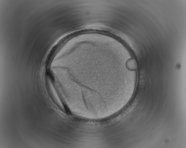 X0000116630923201001081249