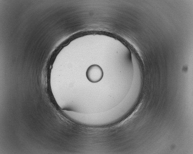 X0000116630925201001081249