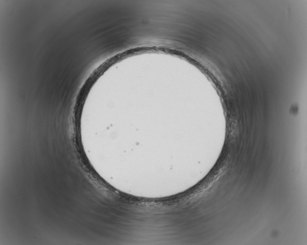 X0000116630927201001081249