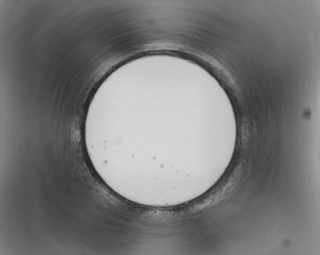 X0000116630929201001081249