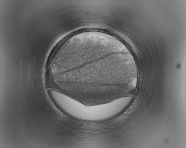 X0000116630935201001081249