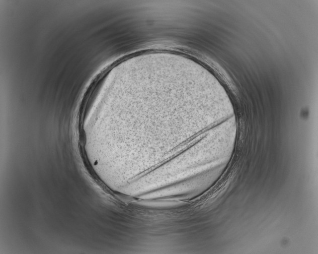 X0000116630939201001081249